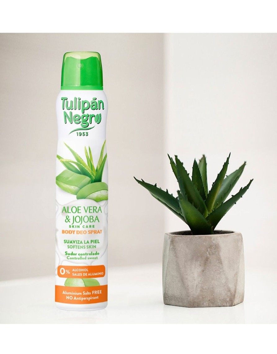 QUINCE MODAS Spray Desodorante Aloe | Champu, Gel, Crema Hidratante, Desodorante...